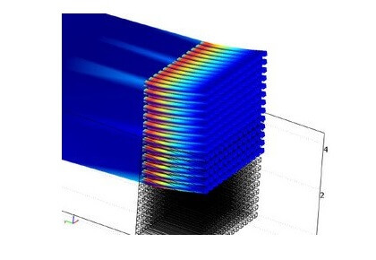 پای مارمولک ژکو
