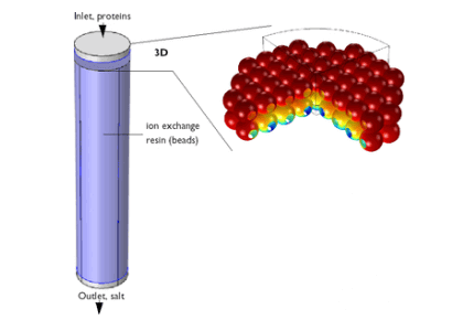 جذب پروتئین-کامسول