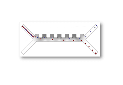 جداسازی گلبول‌های قرمز-کامسول