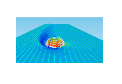 اثر مگنوس-کامسول