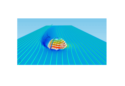 اثر مگنوس-کامسول