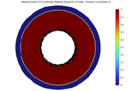 پیچ خوردگی غشای دایره ای - کامسول