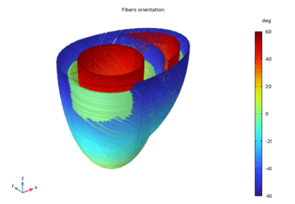 مدل قلب دو بطنی - کامسول