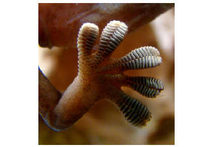 با استفاده از پای گکو، تلویزیون را به دیوار بچسبانید