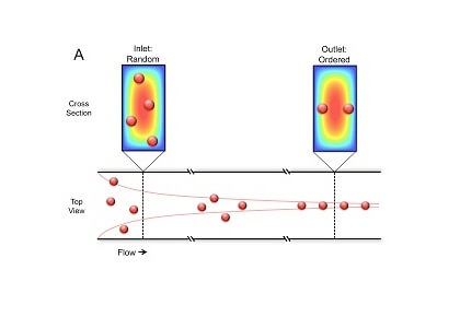 تمرکز اینرسی، یک رویکرد ضد شهودی برای متمرکز کردن سلول ها