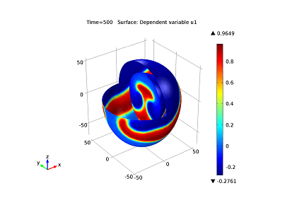 مدل سازی مبتنی بر معادله، مدل سفارشی قلب تپنده