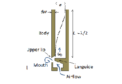 آموزش آکوستیک برای مدلسازی طراحی لوله اندام