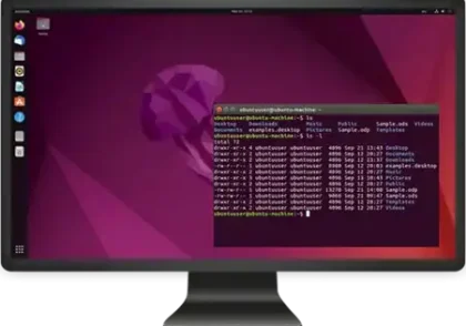 اجاره کامپیوتر لینوکس